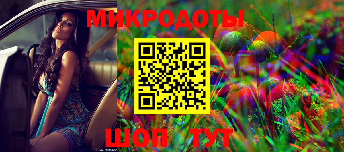 Галлюциногенные грибы Cubensis Ачхой-Мартан