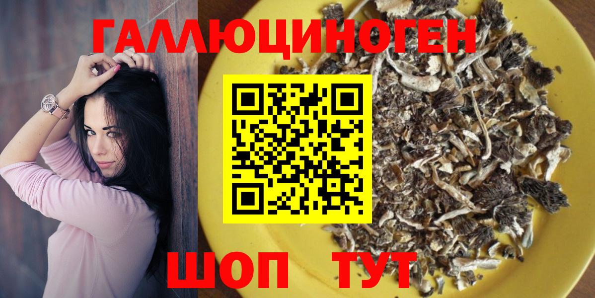 магазин    Псилоцибиновые грибы GOLDEN TEACHER  Вход с VPN  Ачхой-Мартан 